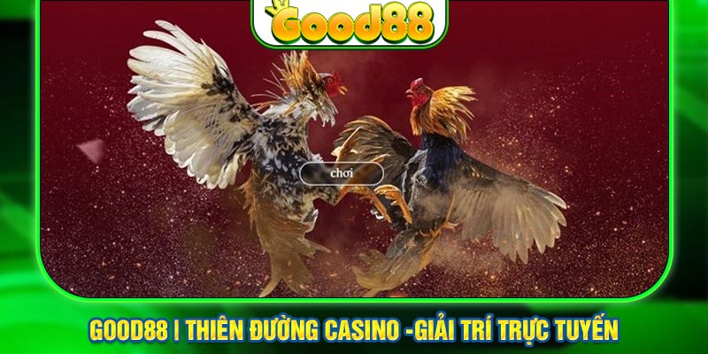 Sự Khác Biệt Của Đá Gà Cựa Dao Tại Good888