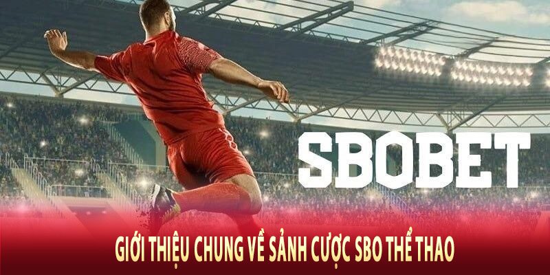 Giới thiệu chung về sảnh cược SBO thể thao